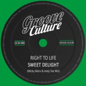 Sweet Delight (Radio Edit) artwork