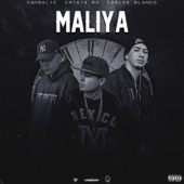 Maliya (feat. Carlos Blanco) artwork