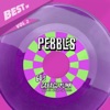 Best Of Pebbles Series, Vol. 2: 60's Garage Punk Unknows