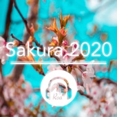 Sakura 2020 artwork