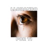 Llorando por ti - Single