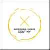 Stream & download Destiny - Single