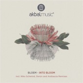 Into Bloom (Derun Remix) artwork