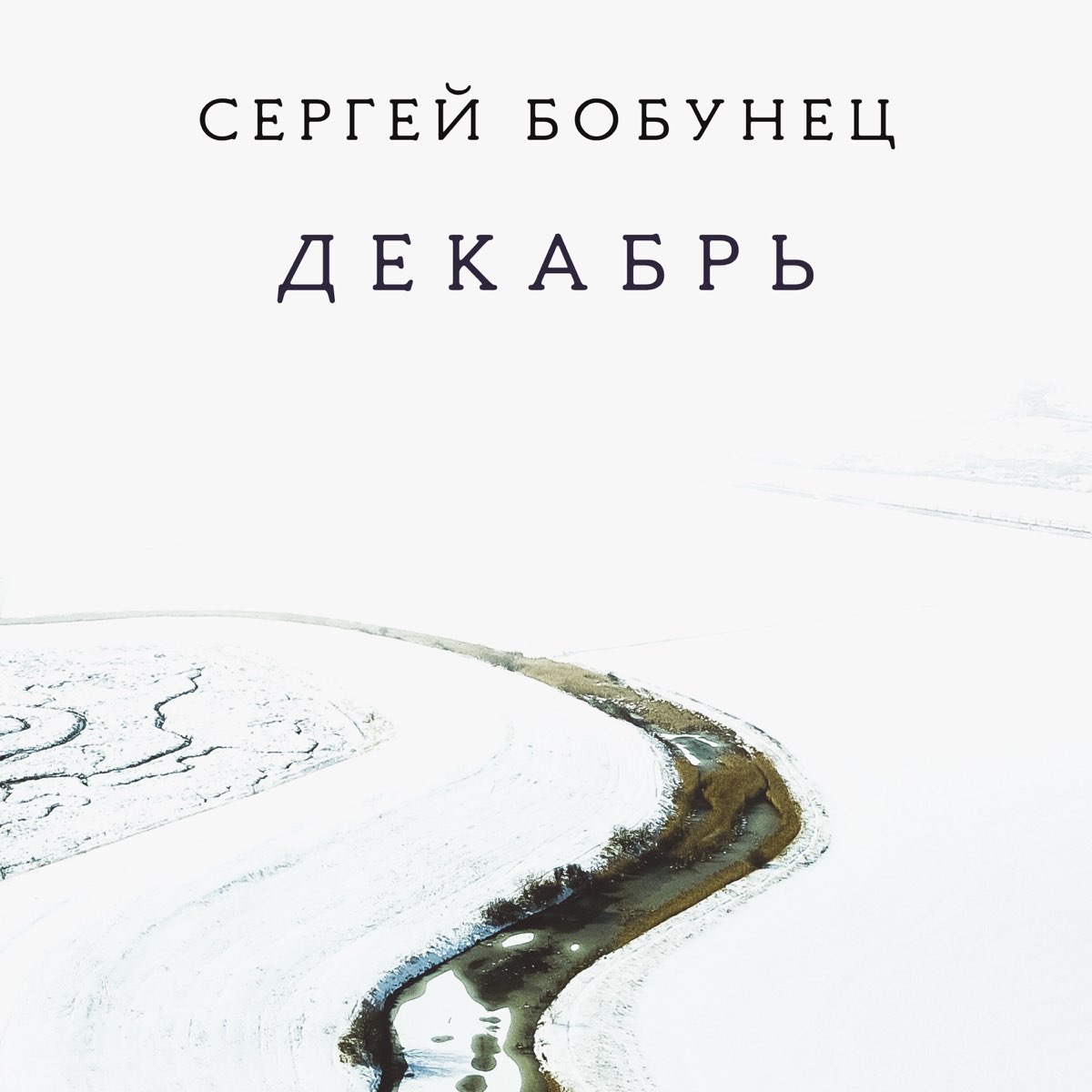 Декабрь слушать. Сергей Бобунец. Сергей Бобунец декабрь. Сергей Бобунец обложка. Сергей Бобунец альбомы.