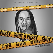 Shot a Pussy (Remix) artwork