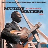 Muddy Waters - Soon Forgotten