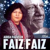 Faiz Ahmed Faiz, Vol. 17 artwork