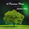 A Precious Place - Single
