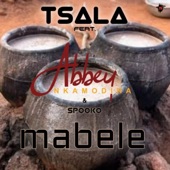 Mabele (feat. Abbey NkaMoDira & Spooko) artwork