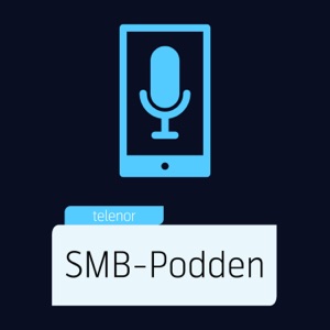 #17 Telenor som sikkerhetspartner