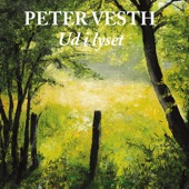 Ud I Lyset (feat. Peter Busborg & Joane Reinholt) artwork