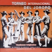 Joropo Instrumental artwork