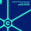 Sheridan Grout - Under Water (feat. Julia Ross)