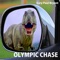 Olympic Chase - Gary Paul Bryant lyrics