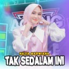 Tak Sedalam Ini - Single