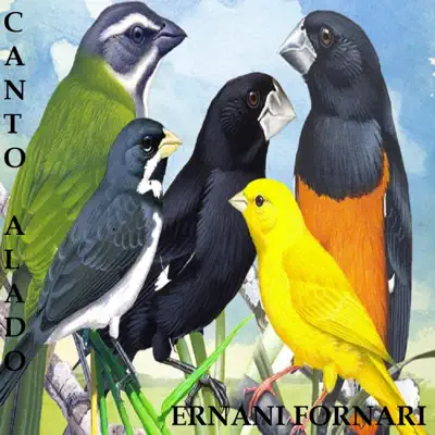 Canto Alado - Single - Ernani Fornari