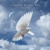 Liquid Mind - Spirit of Peace