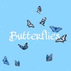 Butterflies - Single