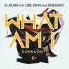 What Am I Gonna Do? (feat. Leee John and Rob Davis) - Single album lyrics, reviews, download