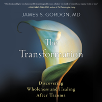 James S. Gordon - The Transformation artwork