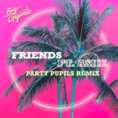 Friends (feat. Ashe) [Party Pupils Remix] artwork