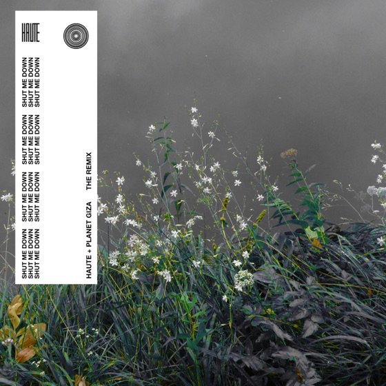 Cover artwork for Shut Me Down