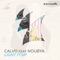 Light It Up (feat. Noubya) - CALVO lyrics