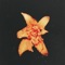 Autumn Star - RRAREBEAR lyrics