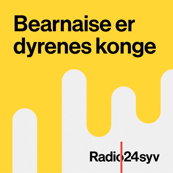 kongen af bearnaise kongen af bearnaise