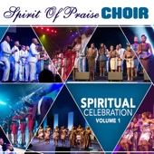 Spiritual Celebration - Spirit Of Praise Choir artwork