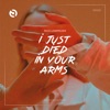 (I Just) Died in Your Arms - Single