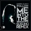 Follow Me Into the Shadows (Susumu Remix) - Single album lyrics, reviews, download