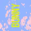 Stream & download Bunny - Single