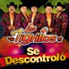 Los Tigrillos - El Enfermito