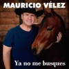 Ya No Me Busques - Single