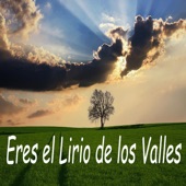Eres El Lirio de los Valles artwork