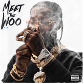 Meet The Woo 2 artwork