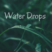 Water Drops artwork