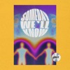 Someday We'll Know - Single