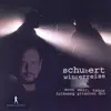 Schubert: Winterreise, Op. 89, D. 911 (Arr. for Tenor & 2 Guitars) album lyrics, reviews, download