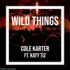 Wild Things (feat. Katy Tiz) - Single album lyrics, reviews, download