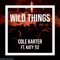 Wild Things (feat. Katy Tiz) - Cole Karter lyrics