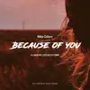 Stream & download Because of You - Single