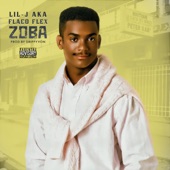 Zoba artwork