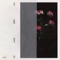 Lie - Jakob lyrics