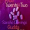 Free 22 (Gudda S**T) - Sancho Domingo lyrics