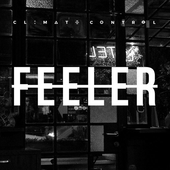 Cover artwork for Feeler
