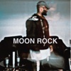 Moon Rock