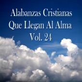 Alabanzas Cristianas Que Llegan Al Alma, Vol. 24 artwork