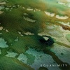 Equanimity